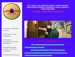 Страж-Профессионал