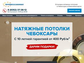 Профессионал