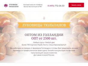 Луковицы тюльпанов