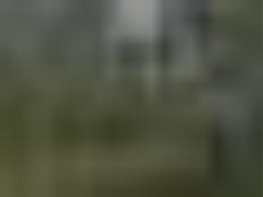 Территория здорового отдыха