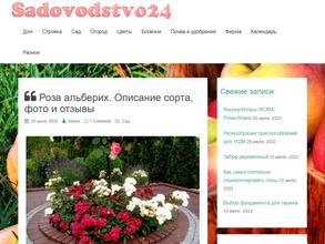 Блестящий город