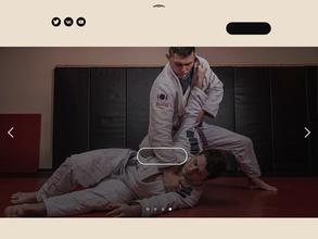 Ульяновская Академия Боевых Искусств