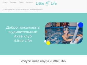 Little Life