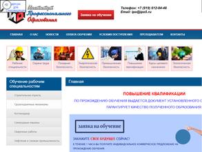 Институт профессионального образования