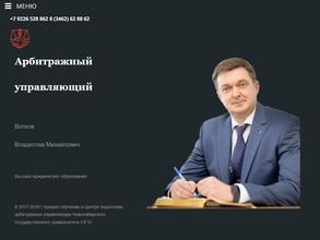 Арбитражный управляющий Волков В.М.