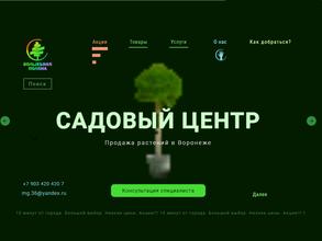 Волшебная поляна