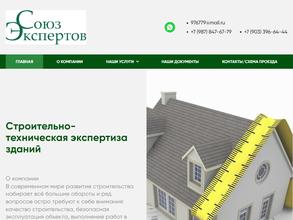 Союз экспертов