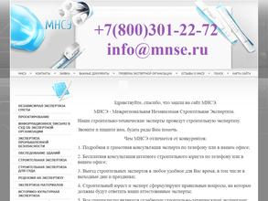 МНСЭ