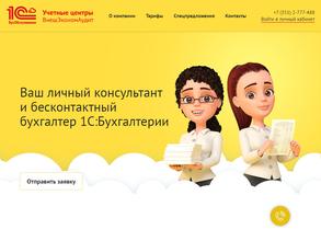 ВнешЭкономАудит