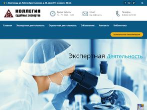 Коллегия судебных экспертов
