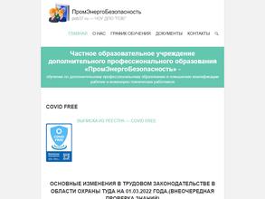 ПромЭнергоБезопасность