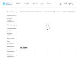 Современные Системы Безопасности