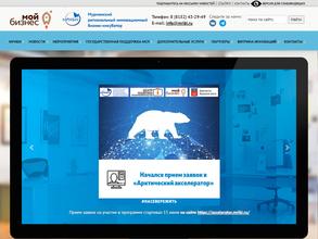 Мурманский региональный инновационный бизнес-инкубатор