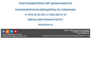 Воронежские цифровые системы