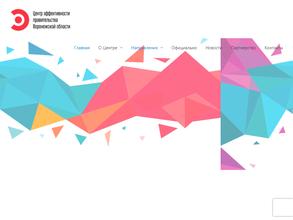 Центр эффективности правительства Воронежской области