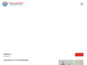 Фонд развития промышленности и венчурных инвестиций Нижегородской области