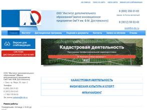 Институт дополнительного образования