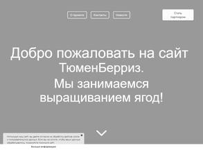ТюменБерриз