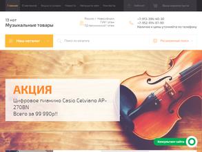 Магазин музыкальных инструментов