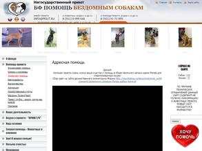 Помощь бездомным собакам в Санкт-Петербург