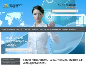 Стандарт-аудит