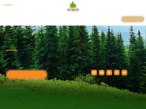 Пихтовый бор