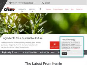 Кемин индастриз