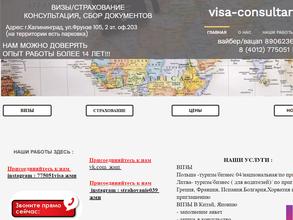 ВИЗА-КОНСУЛЬТАНТ