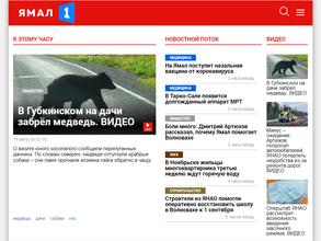 Арктика Медиа