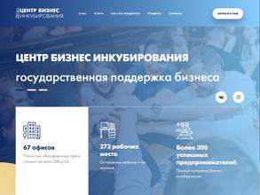 Инновационный бизнес-инкубатор Челябинской области