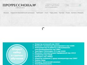 Профессионал