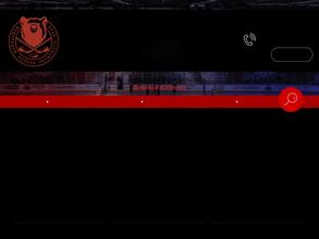 Федерация хоккея Пермского края