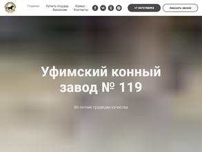 Уфимский конный завод №119