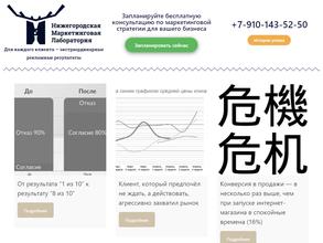 Нижегородская маркетинговая лаборатория