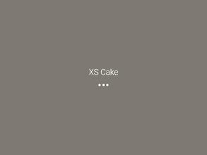 Xs cake