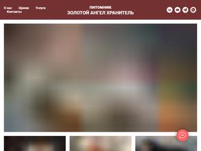 Золотой ангел-хранитель