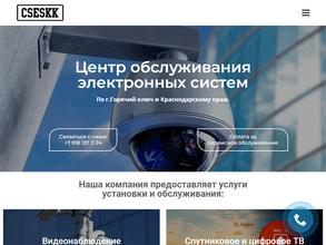 Центр обслуживания электронных систем