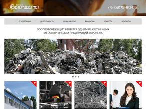 Воронеж ВЦМ