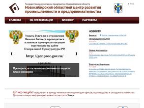 Бизнес-инкубатор Новосибирской области