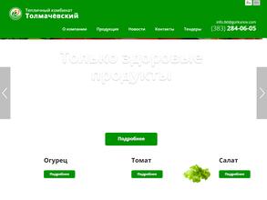 Толмачёвский