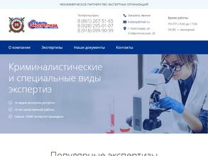 КУБАНЬ-ЭКСПЕРТИЗА