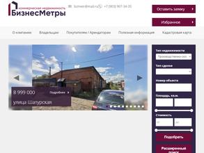 БизнесМетры