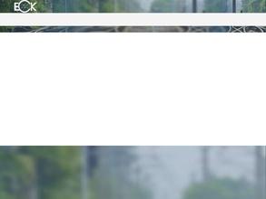 ЕВРАЗИЙСКАЯ СТРЕЛОЧНАЯ КОМПАНИЯ