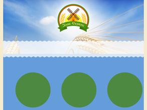 Злак-Сервис