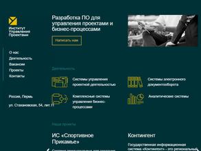Институт Управления Проектами