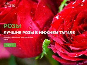 Дивная роза