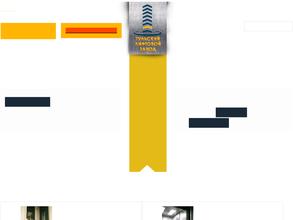 Тульский лифтовой завод