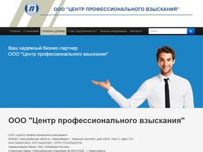 Центр профессионального взыскания