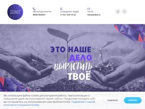 Только бизнес